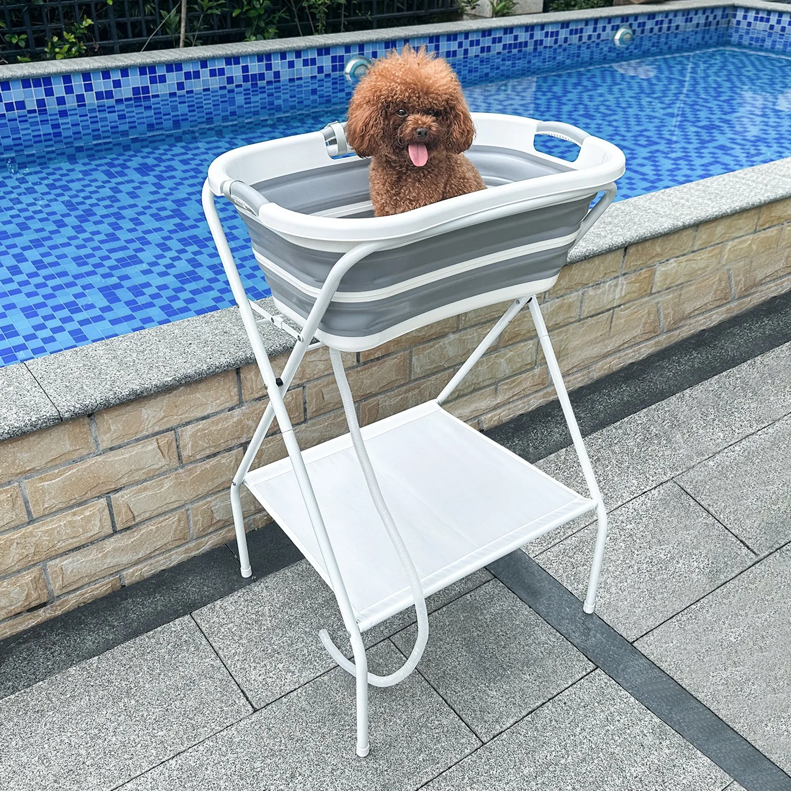 B1 2 in 1 Pet Bath Tub