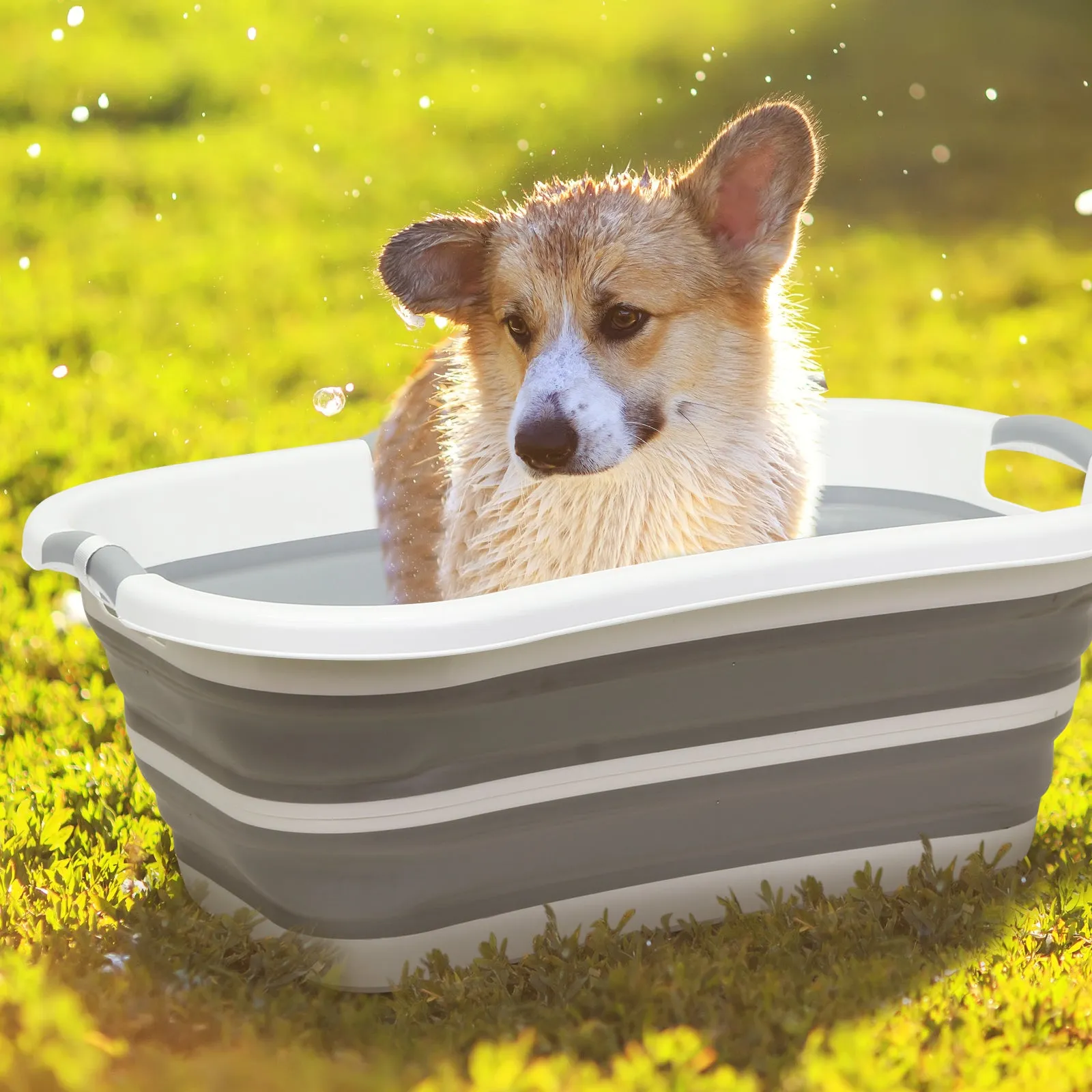 B1 2 in 1 Pet Bath Tub