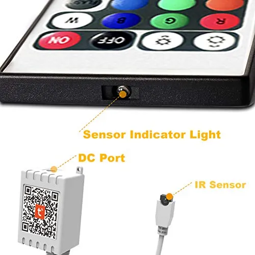 DAYBETTER 2 Ports 24 Key Tuya Smart Wi-Fi Led Strip Lights Remote Control, 4 Pin Output Dimmable Remote Controller Voltage DC 12V(Without Power Adapter)