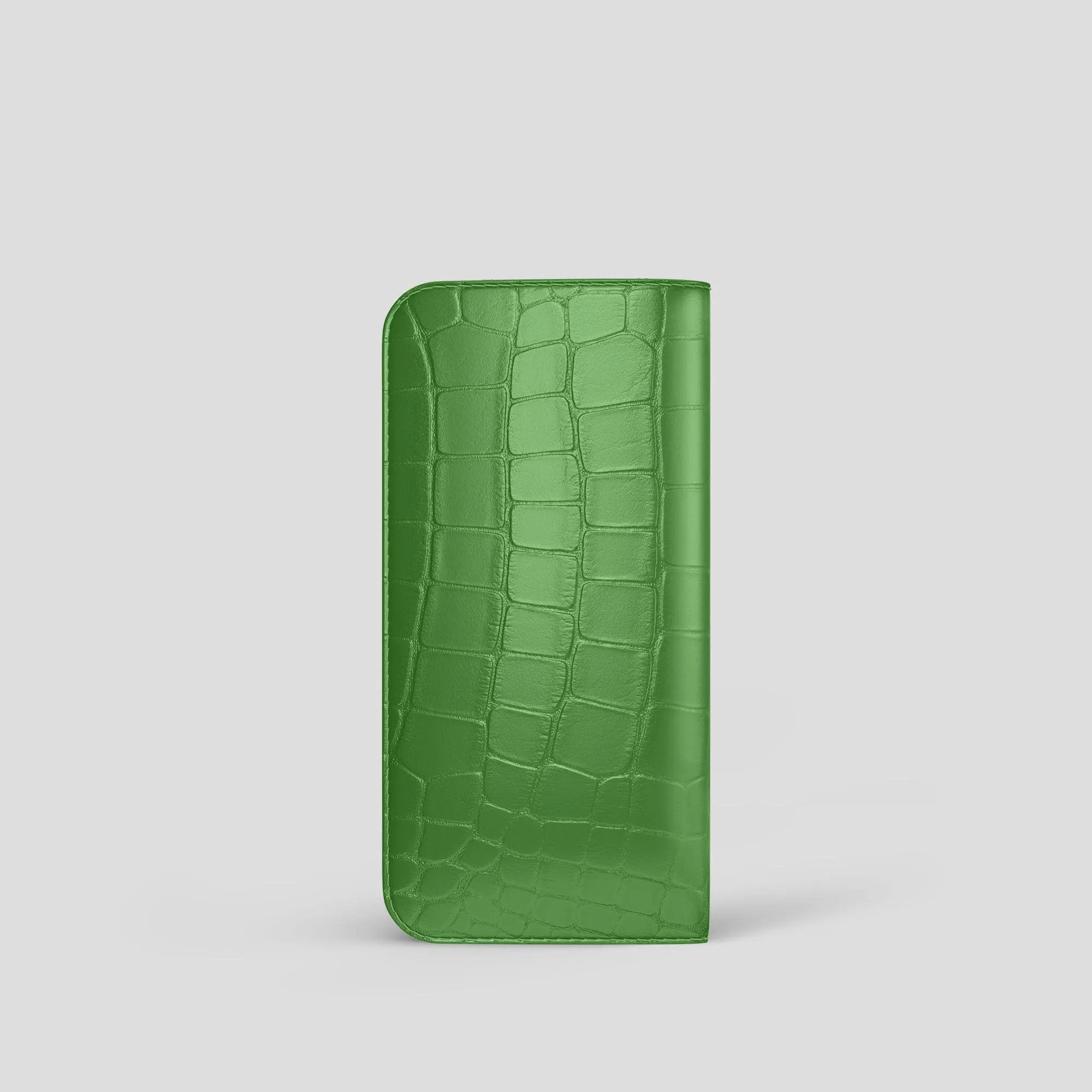 Glasses Case In Alligator