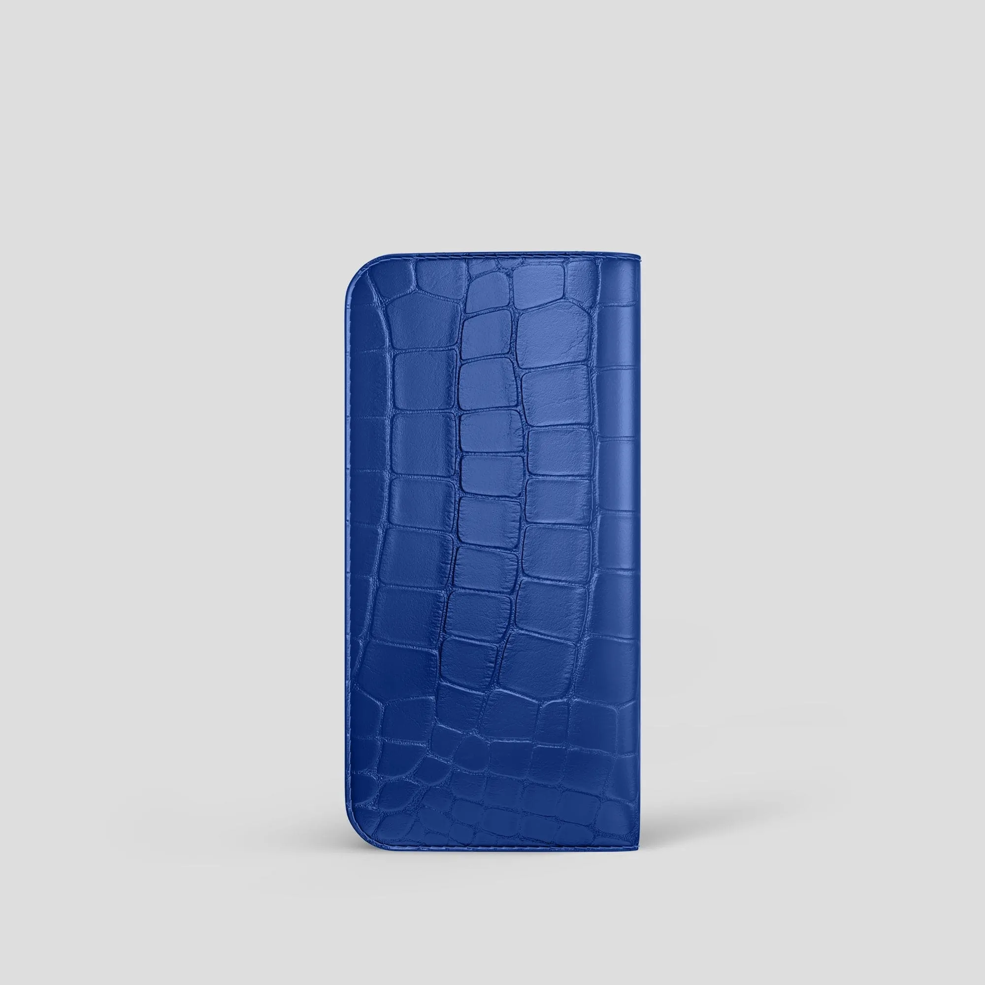 Glasses Case In Alligator