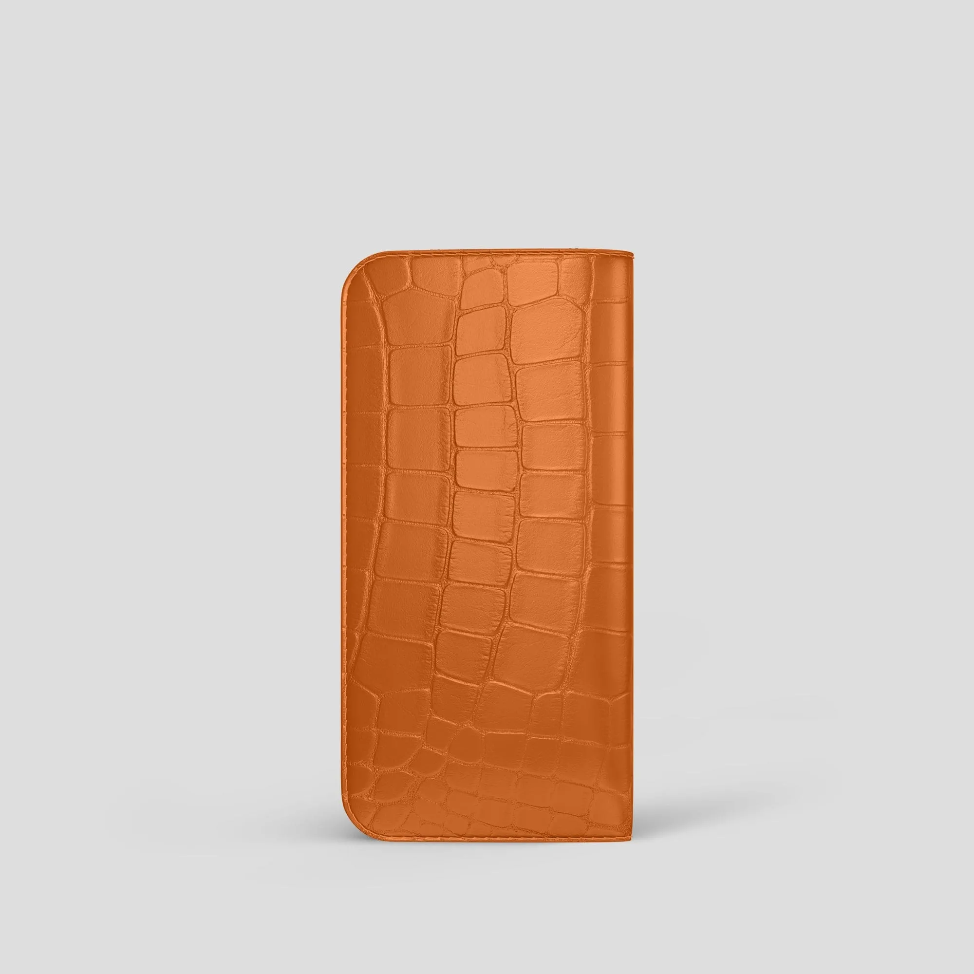 Glasses Case In Alligator