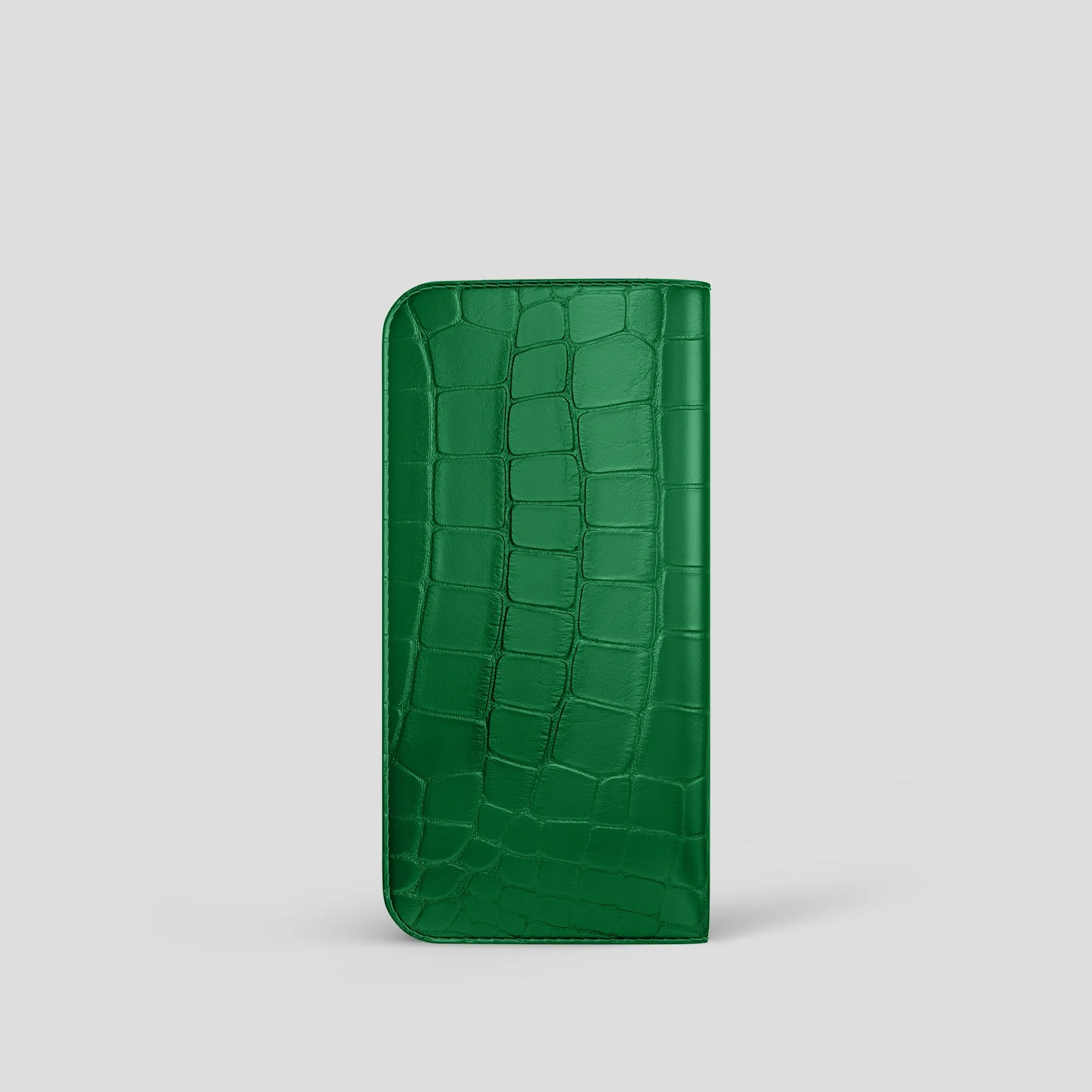 Glasses Case In Alligator