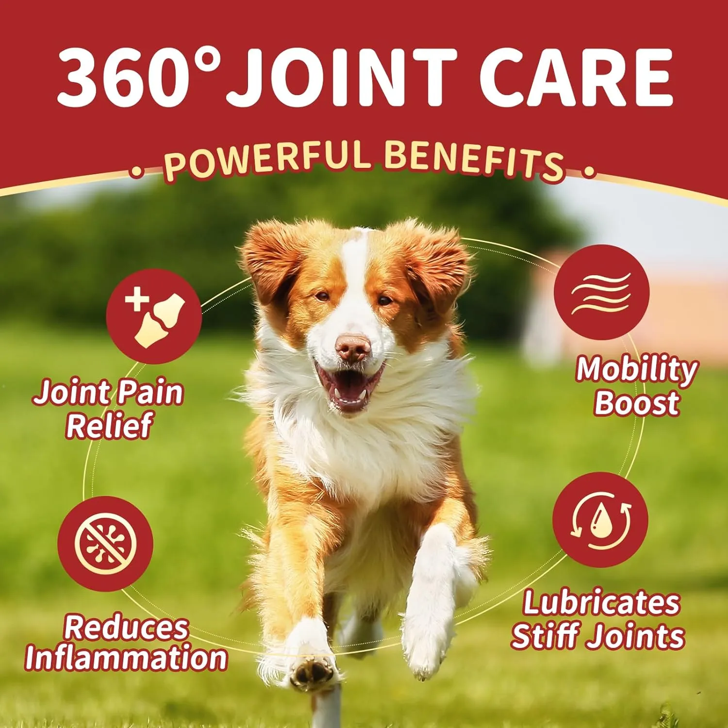 Glucosamine Chews Supplement for Dog & Cat, with Joint Health