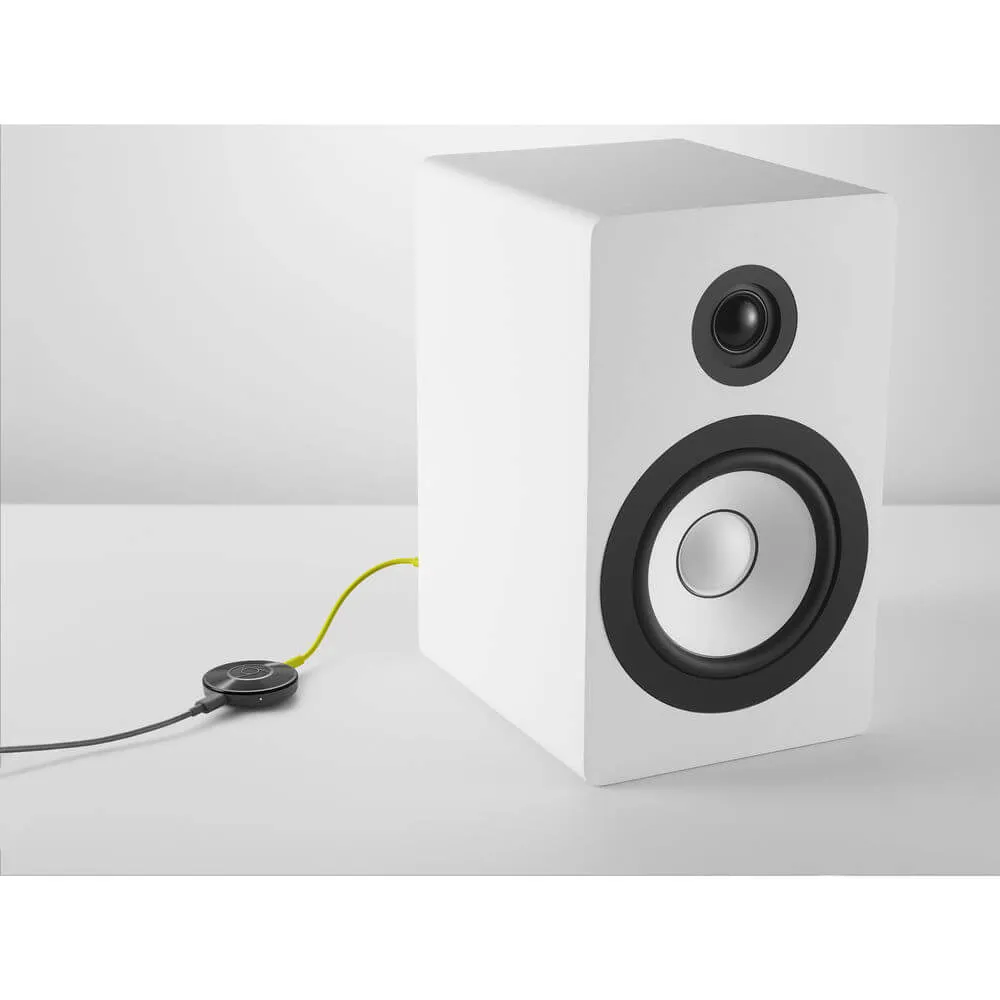 Google Chromecast Audio