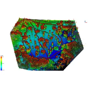 LiDAR360 Forestry Module