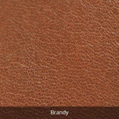 Osgoode Marley Leather Glasses Case