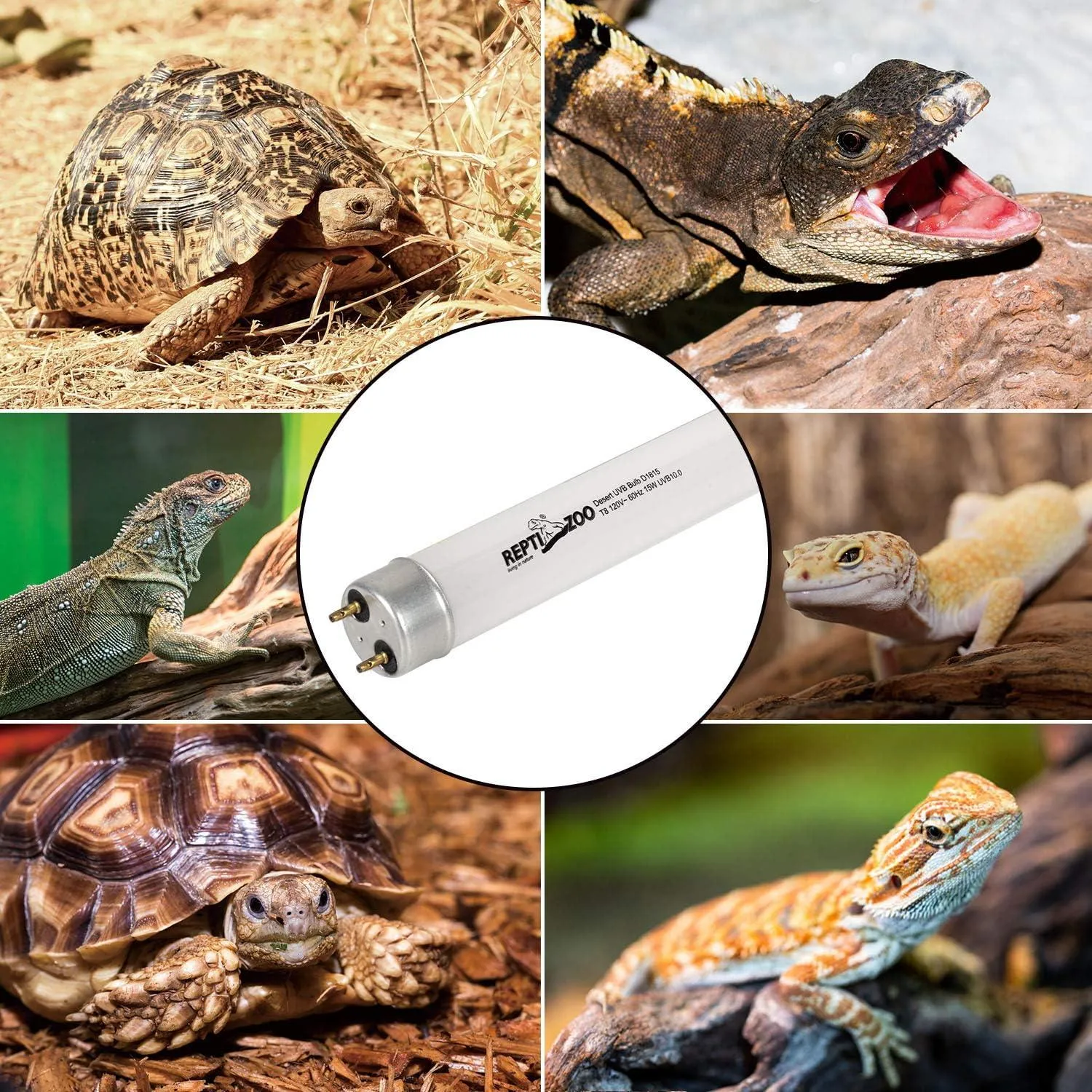 REPTI ZOO T8 Terrarium Reptile Fluorescent UVB T8 18 Inches 15W Compact Reptile Bulb Tropical Terrarium Lamp Tube