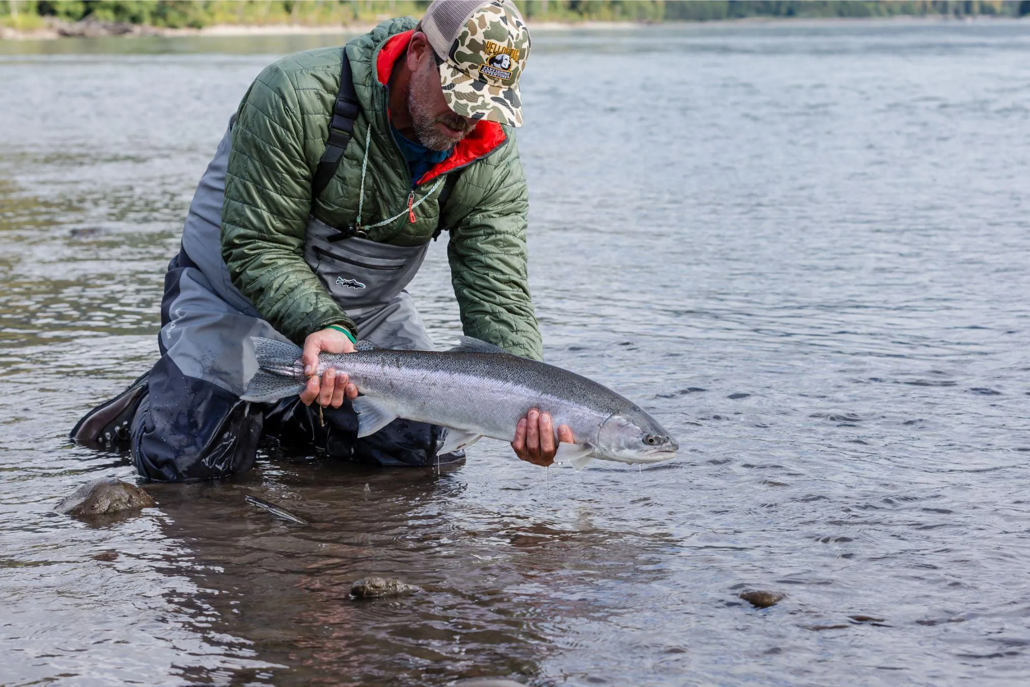 Skeena Wilderness Fishing Charters