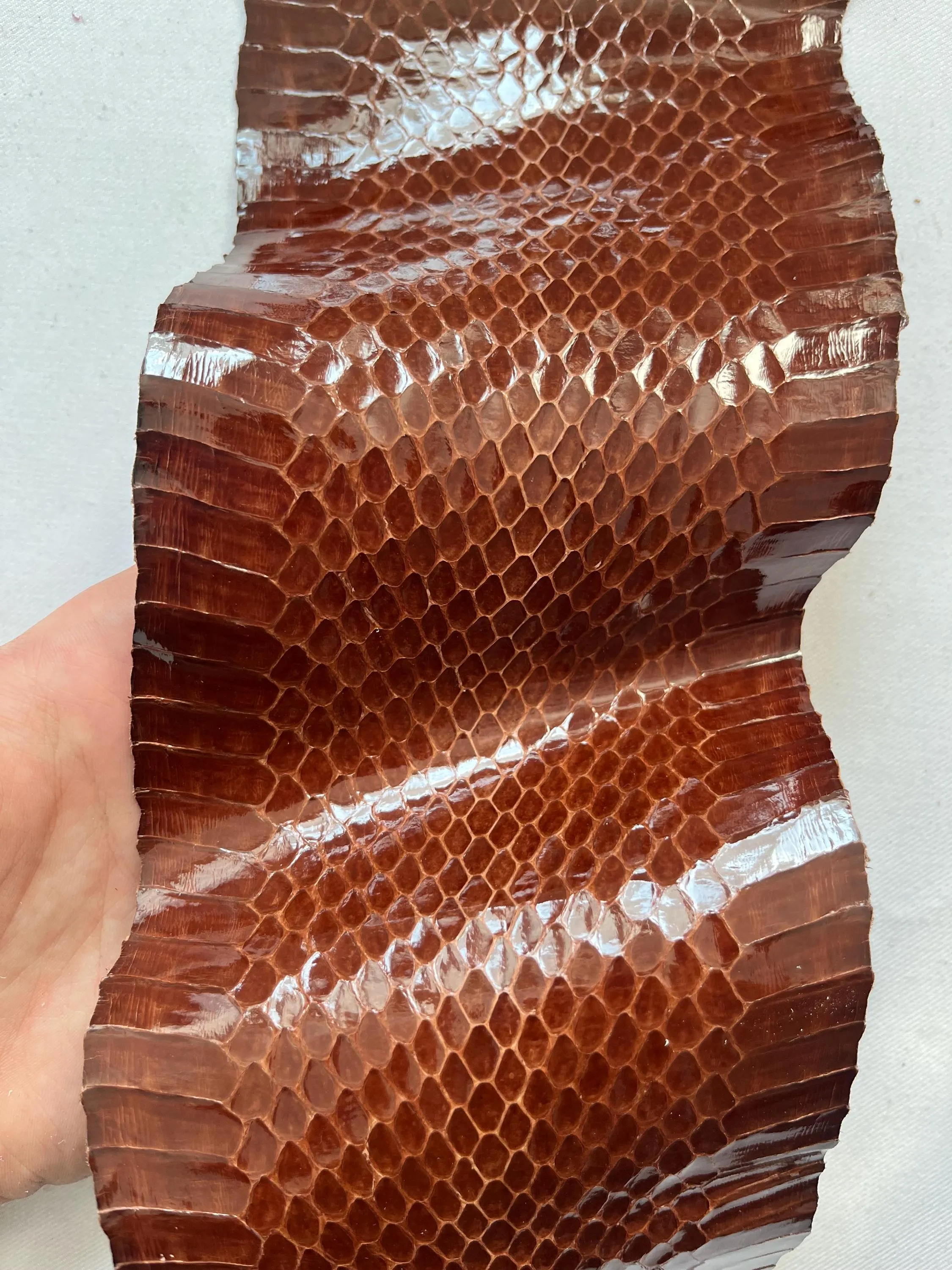 Snake leather for crafts, real snakeskin hide exotic leather, glossy and thin, thick 0,3 mm(1 oz)