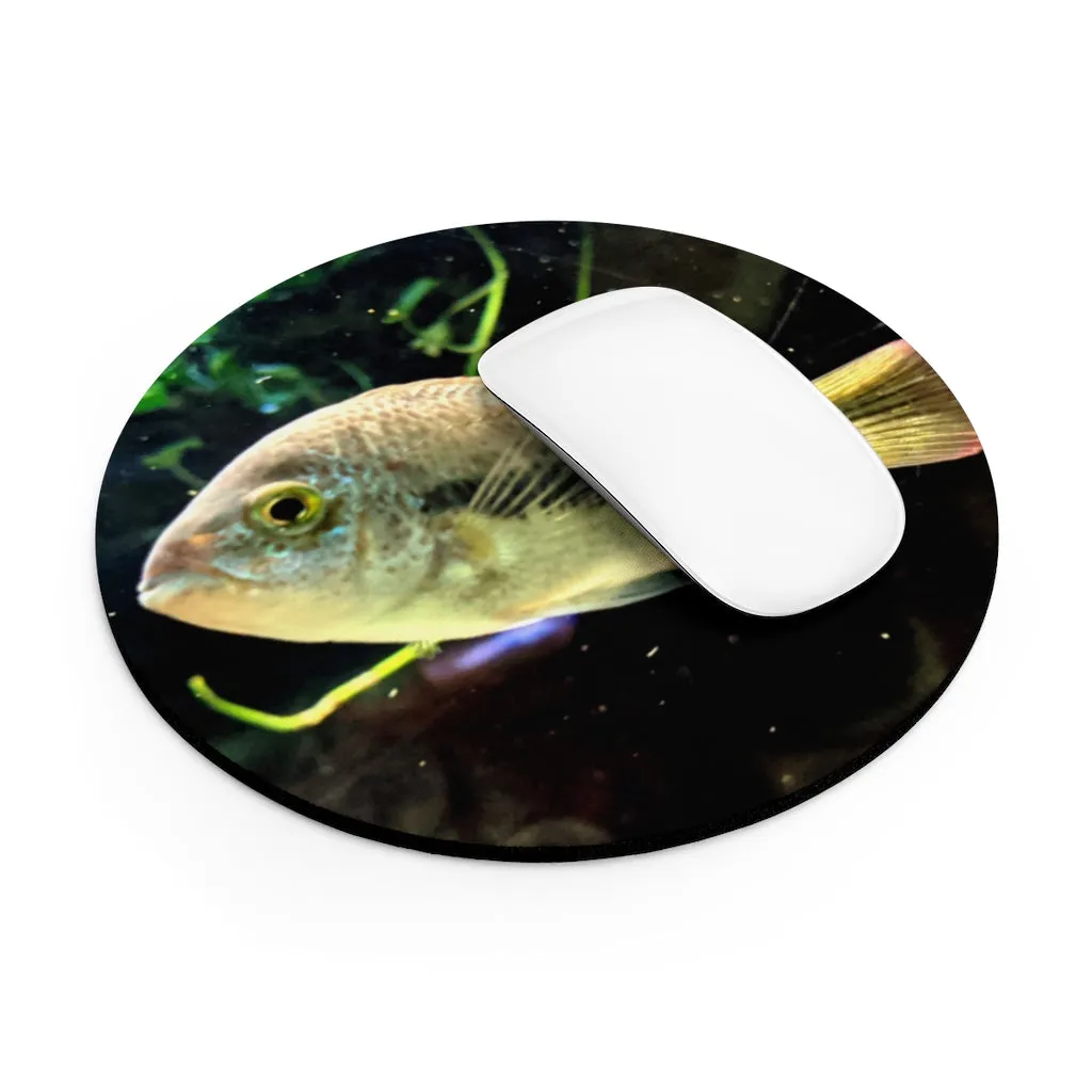 Yellow and Black Fish Mouse Pad